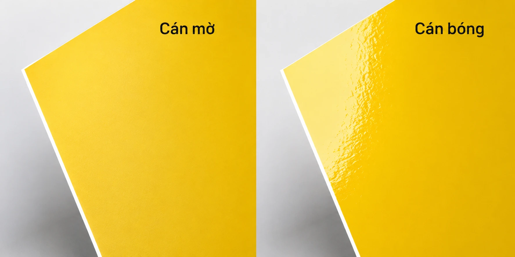 so sánh cán màng bóng và cán màng mờ
